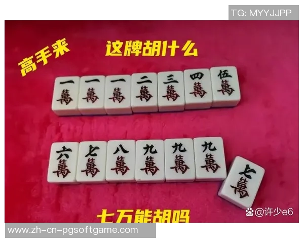 麻将胡了怎么说-麻将桌上的精彩时刻，如何优雅地描述麻将胡牌-麻将胡了怎么说